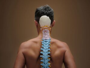 Open for bookings – Advanced Teacher Training Herbst 2026